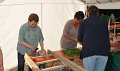 Binden am Donnerstag 016